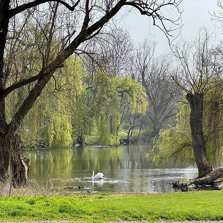 Strasbourg, Appartement Cosy Au Bord De L Eau 外观 照片