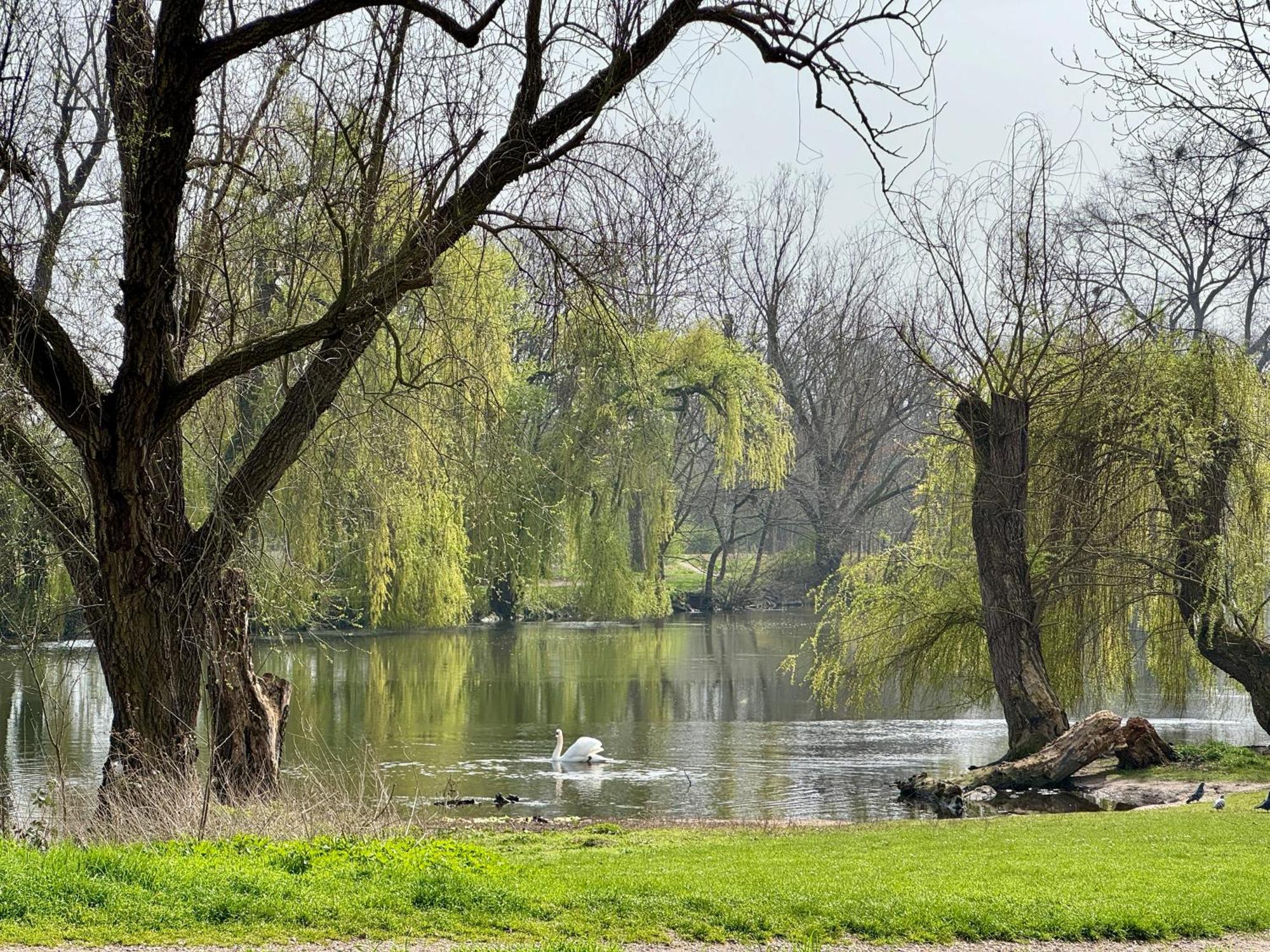 Strasbourg, Appartement Cosy Au Bord De L Eau 外观 照片