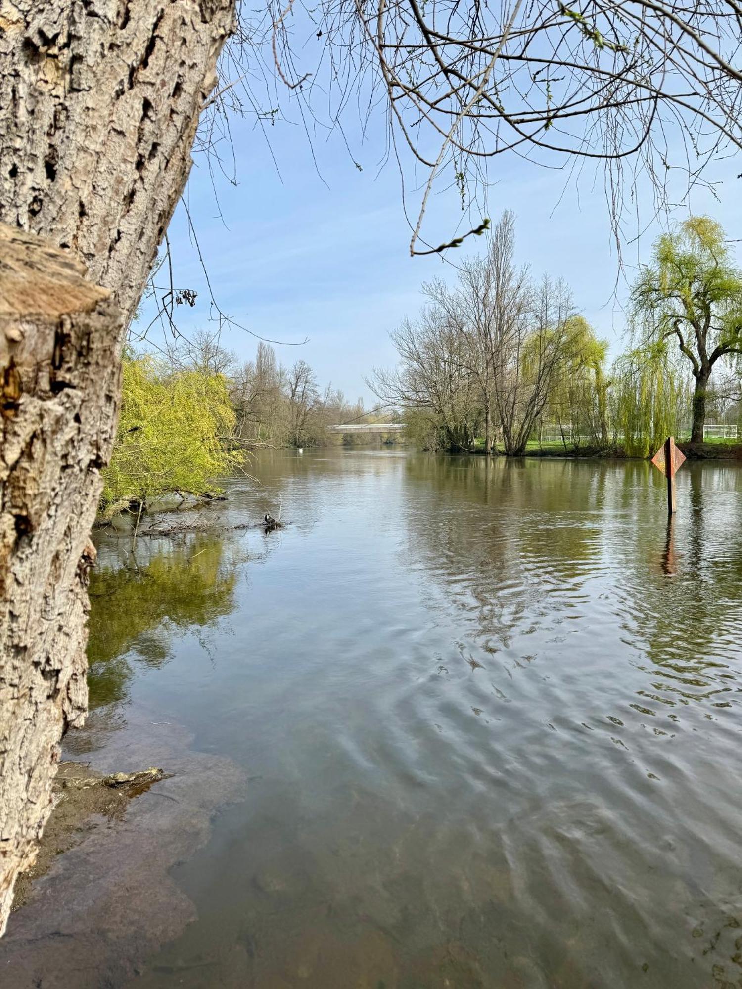 Strasbourg, Appartement Cosy Au Bord De L Eau 外观 照片